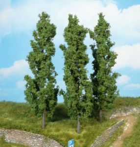 HEK1918 - 3 Poplar trees 18 cm