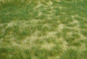 HEK1842 - Wild summer grass carpet 45 x 17 cm