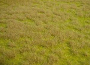 HEK1840 - Rug of wild savannah grasses 45 x 17 cm