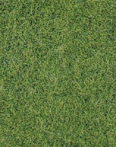 HEK1870 - Meadow green wild grass carpet 40 x 24 cm