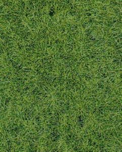 HEK1871 - Woodland wild grass carpet 40 x 24 cm