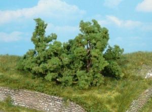 HEK1179 - 5 bushes and shrubs 6-8 cm