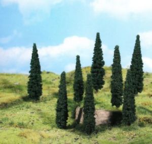 HEK1190 - 8 Cypress trees 9 cm
