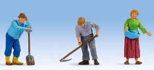 NOC17840 - Farmers