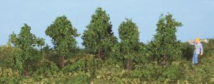 HEK19130 - 5 Deciduous trees 4 cm