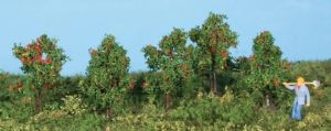 HEK19131 - 5 apple trees 4 cm