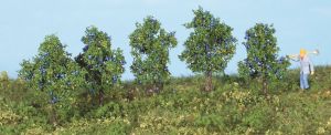 HEK19132 - 5 plum trees 4 cm