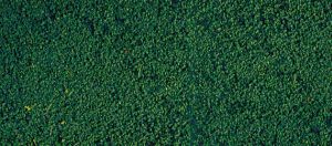 HEK1603 - Pine green flocking foam 14x28 cm