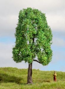 NOC20101 - Ash Tree 13 cm