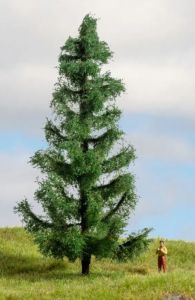 NOC20193 - Spruce 15 cm