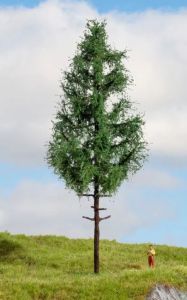 NOC20196 - High-stem spruce, 21 cm