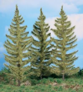 HEK2137 - 3 larch trees 20 cm