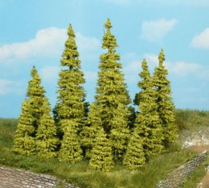 HEK2146 - 9 larch trees 5-7 cm