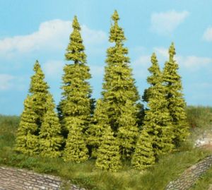 HEK2147 - 7 larch trees 7-11 cm