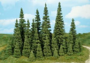 HEK2151 - 9 fir trees 5-7 cm