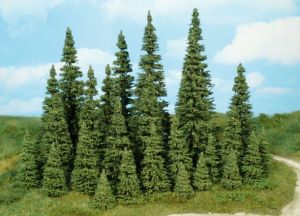 HEK2152 - 7 fir trees 7-11 cm