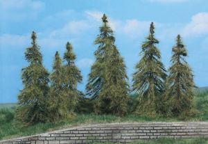 HEK2174 - 7 larch trees 7-11 cm