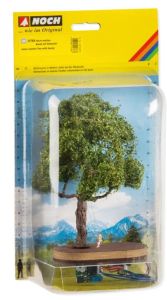 NOC21768 - Tree with a micro-movement swing