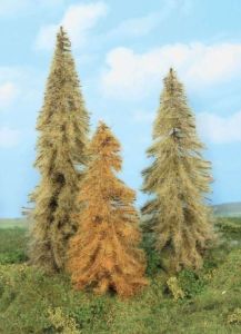 HEK2177 - 3 autumn larch trees 18-22 cm
