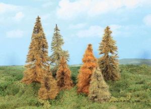 HEK2178 - 7 autumn larch trees 7-11 cm