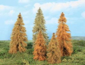 HEK2179 - 5 autumn larch trees 14-18 cm