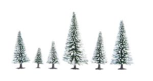 NOC26828 - 25 Snow Fir Trees, 5 to 14 cm