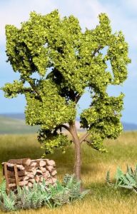 NOC21600 - Pear tree 11.5cm