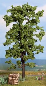 NOC21780 - Basswood 18.5 cm