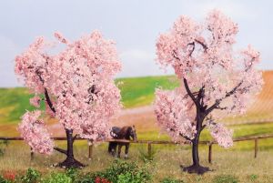 NOC21996 - 2 almond trees 8 and 9 cm