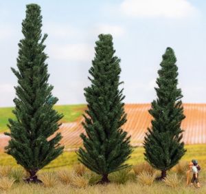 NOC21998 - 3 Cypress 10, 11 and 13 cm