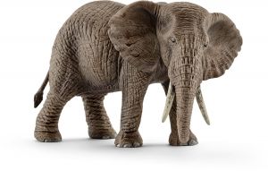 SHL14761 - African Elephant
