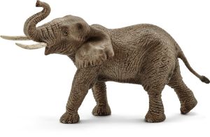 SHL14762 - Male African elephant