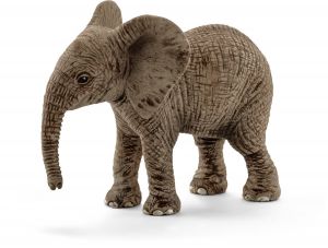 SHL14763 - African baby elephant