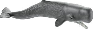 SHL14764 - Great Sperm Whale