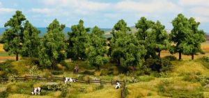 NOC24600 - 8 Deciduous trees 10 to 14 cm