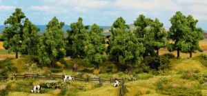 NOC24601 - 16 Deciduous trees 10 to 14 cm