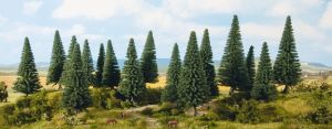 NOC24641 - 16 Christmas trees 10 to 14 cm
