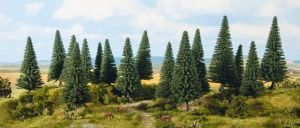 NOC24643 - 16 Fir trees 4 to 10 cm