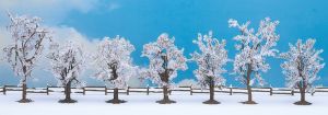 NOC25075 - 7 winter trees 8 to 10 cm