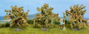 NOC25114 - 3 Orange trees 4 cm