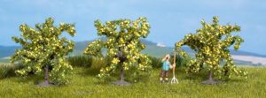 NOC25115 - 3 lemon trees 4 cm