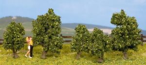 NOC25410 - 5 green shrubs 3 and 4 cm