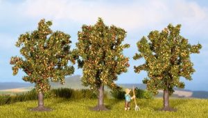 NOC25513 - 3 Apple trees 4.5 cm