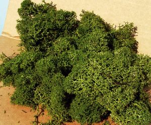 HEK3218 - Medium green lichen 30 g
