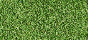 HEK3301 - Light green flocking material - 40 g