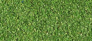 HEK3312 - Light green flocking material - 85 g