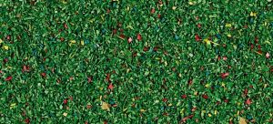 HEK3318 - Groundcover flowering meadow dark 85g