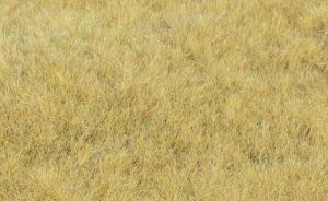 HEK33543 - Grass fibre hayfield 5-6 mm - 75g