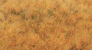 HEK33544 - Early autumn grass fibre 5-6 mm - 75g