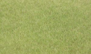 HEK33541 - Grass flocking 75 g. 5-6mm